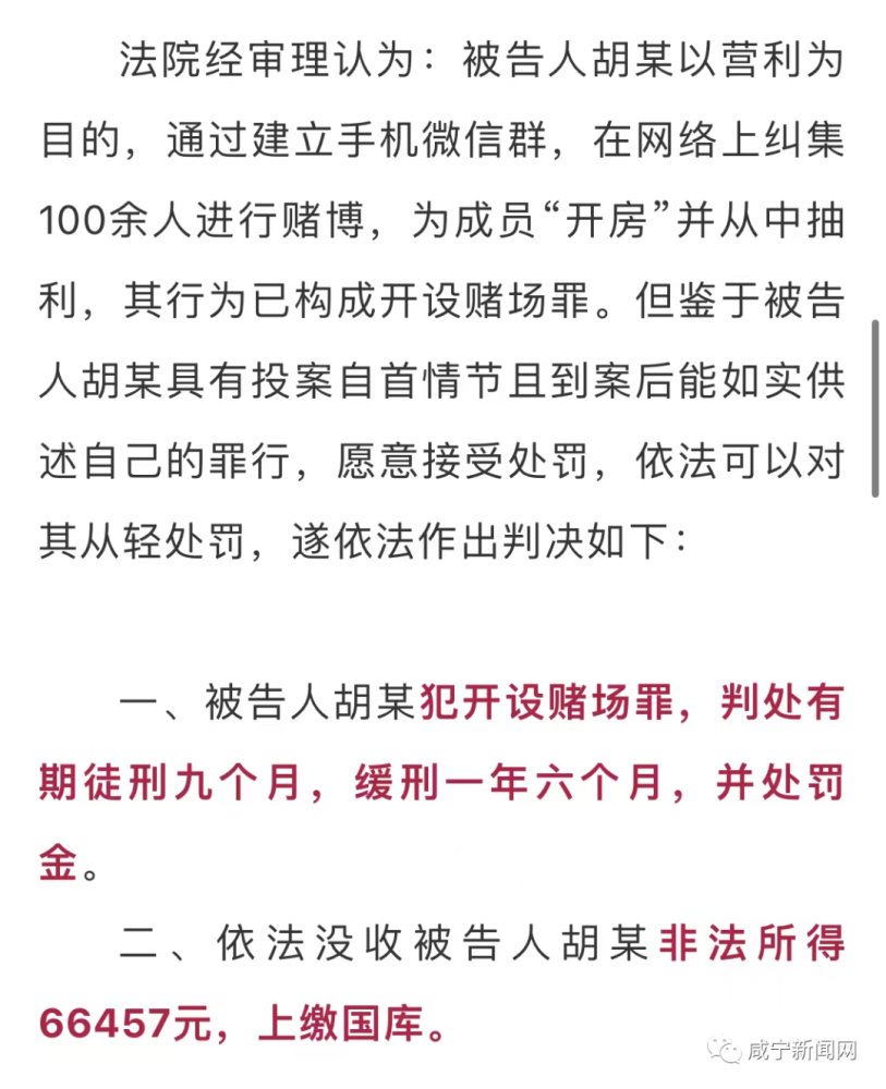 关于新澳门一码最精准的网站——警惕背后的风险与犯罪问题