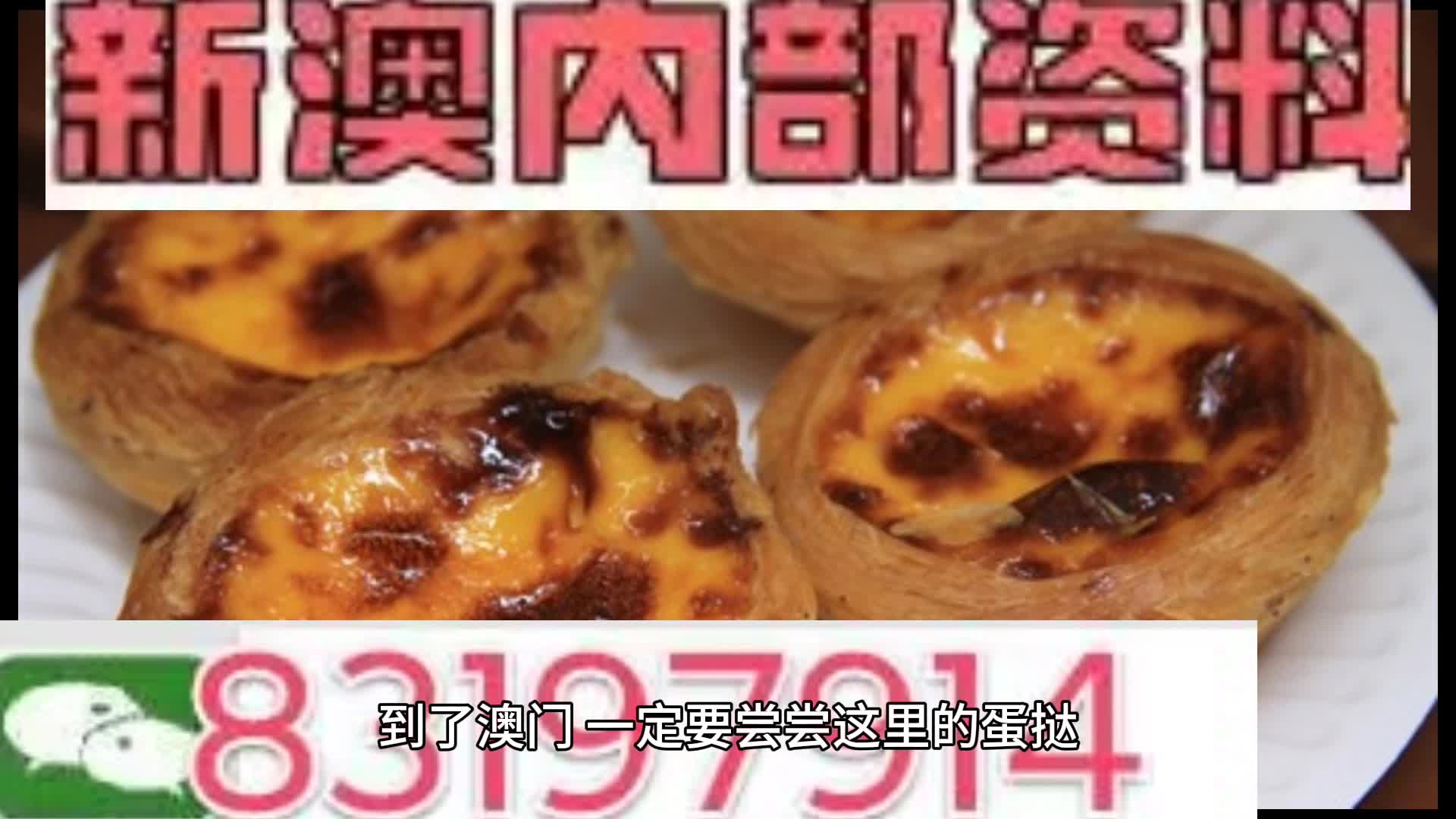 新奥2024年免费资料大全汇总