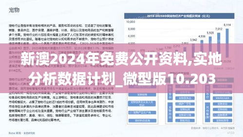 2024新澳兔费资料琴棋，探索知识与文化的交汇点