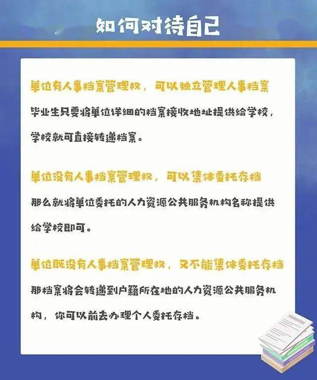 香港全年免费资料大全正版资料，深度探索与理解