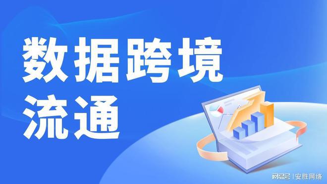 2024新奥正版资料免费提供，助力探索与成长