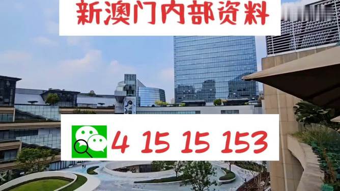 澳门内部中一码资料，揭示违法犯罪问题