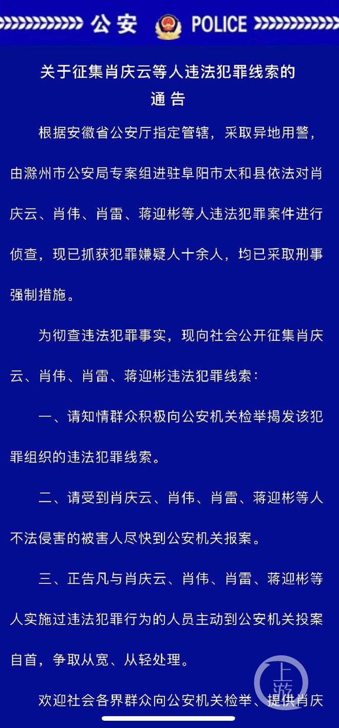 关于精准一肖一码，犯罪行为的警示与反思