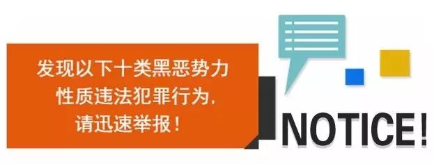 新澳天天开好彩资料大全——揭示背后的违法犯罪问题