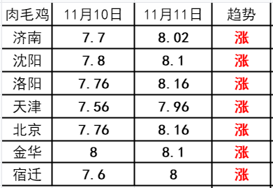 肉毛鸡价格最新行情走势分析